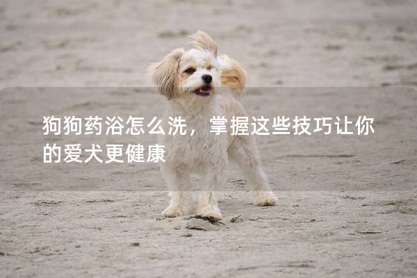 狗狗药浴怎么洗，掌握这些技巧让你的爱犬更健康