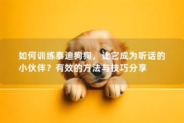如何训练泰迪狗狗，让它成为听话的小伙伴？有效的方法与技巧分享