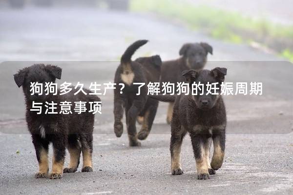 狗狗多久生产？了解狗狗的妊娠周期与注意事项