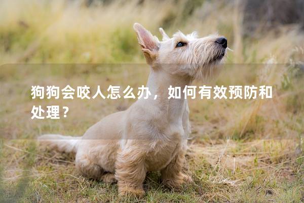 狗狗会咬人怎么办，如何有效预防和处理？