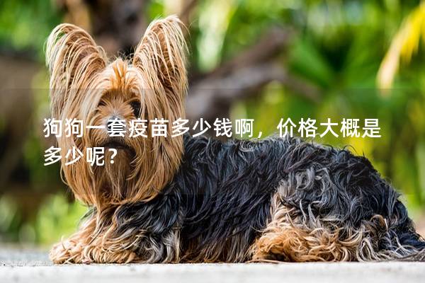狗狗一套疫苗多少钱啊，价格大概是多少呢？