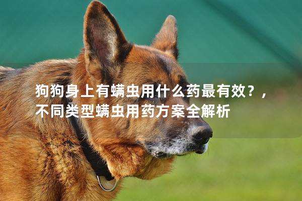 狗狗身上有螨虫用什么药最有效？,不同类型螨虫用药方案全解析