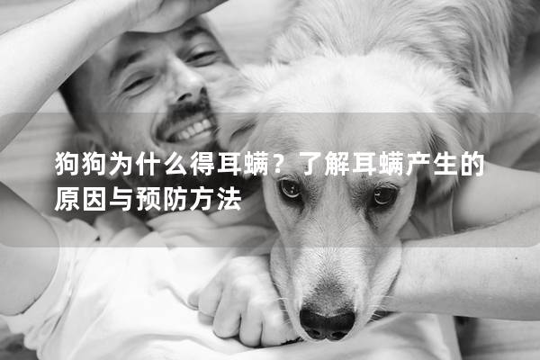 狗狗为什么得耳螨？了解耳螨产生的原因与预防方法