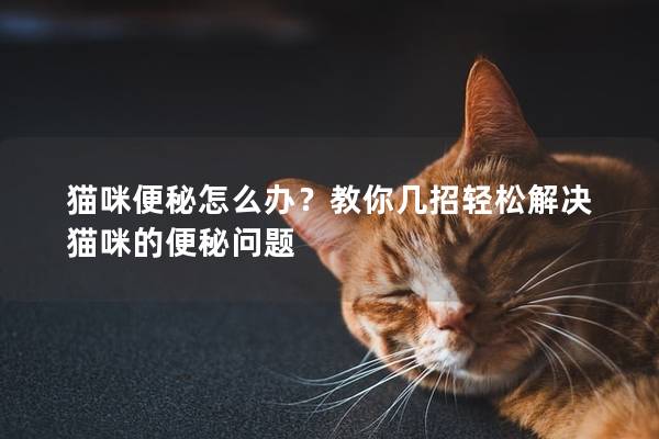 猫咪便秘怎么办？教你几招轻松解决猫咪的便秘问题