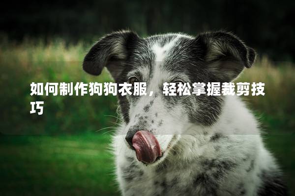 如何制作狗狗衣服，轻松掌握裁剪技巧