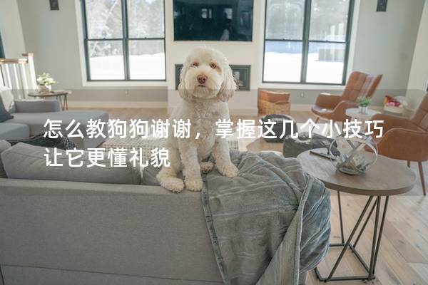 怎么教狗狗谢谢，掌握这几个小技巧让它更懂礼貌