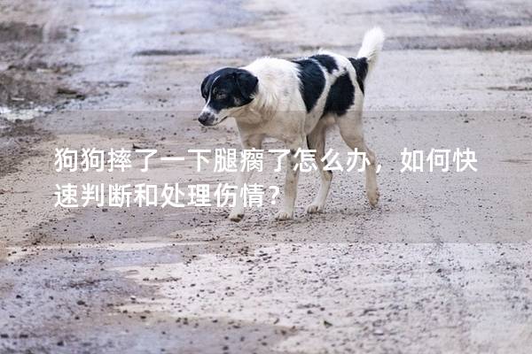 狗狗摔了一下腿瘸了怎么办，如何快速判断和处理伤情？