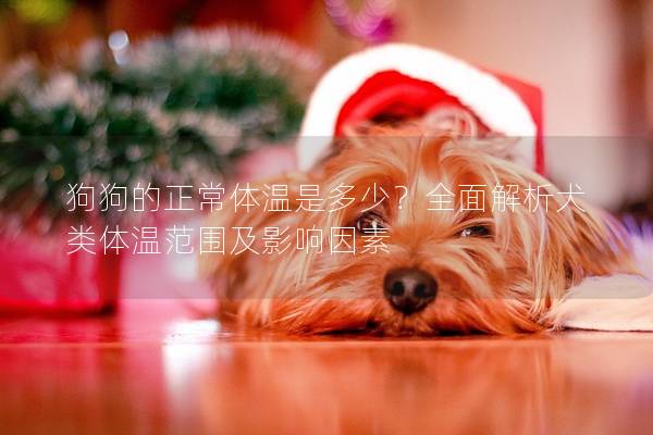 狗狗的正常体温是多少？全面解析犬类体温范围及影响因素