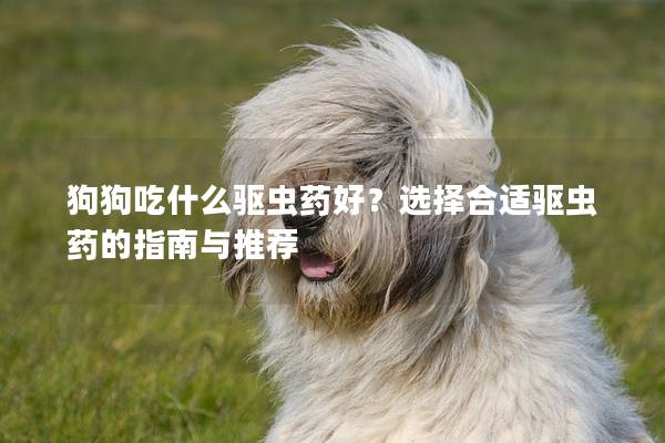 狗狗吃什么驱虫药好？选择合适驱虫药的指南与推荐