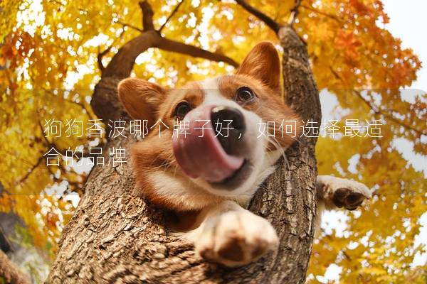 狗狗香波哪个牌子好，如何选择最适合的品牌