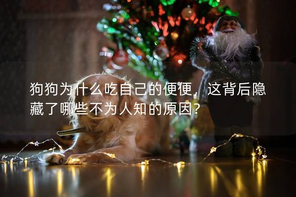 狗狗为什么吃自己的便便，这背后隐藏了哪些不为人知的原因？