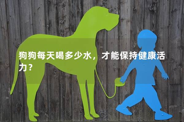 狗狗每天喝多少水，才能保持健康活力？