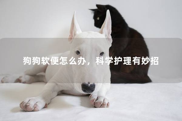 狗狗软便怎么办，科学护理有妙招