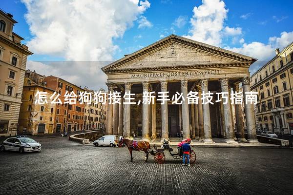 怎么给狗狗接生,新手必备技巧指南