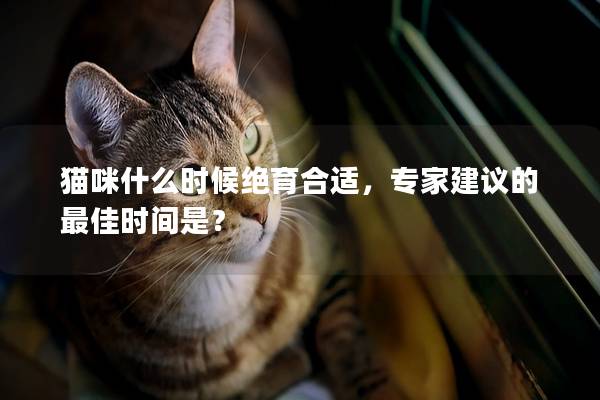 猫咪什么时候绝育合适，专家建议的最佳时间是？