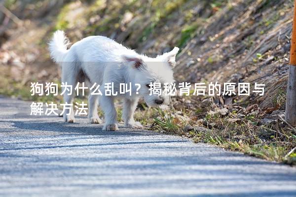 狗狗为什么乱叫？揭秘背后的原因与解决方法