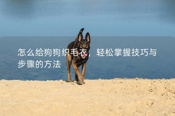 怎么给狗狗织毛衣，轻松掌握技巧与步骤的方法