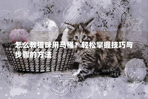 怎么教猫咪用马桶？轻松掌握技巧与步骤的方法