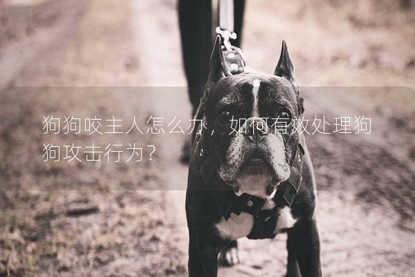 狗狗咬主人怎么办，如何有效处理狗狗攻击行为？