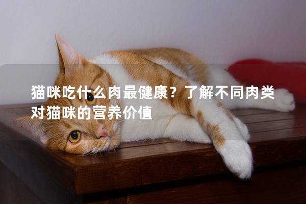 猫咪吃什么肉最健康？了解不同肉类对猫咪的营养价值