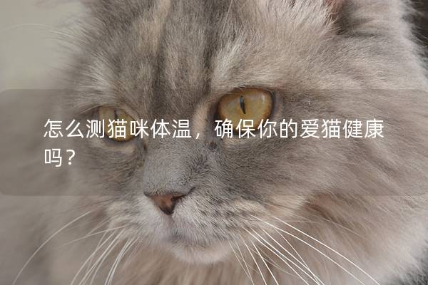 怎么测猫咪体温，确保你的爱猫健康吗？