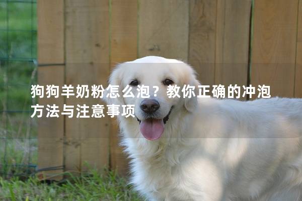 狗狗羊奶粉怎么泡？教你正确的冲泡方法与注意事项