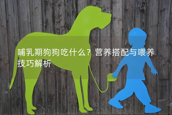 哺乳期狗狗吃什么？营养搭配与喂养技巧解析