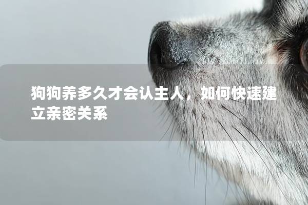狗狗养多久才会认主人，如何快速建立亲密关系