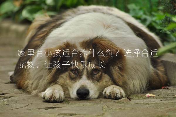 家里有小孩适合养什么狗？选择合适宠物，让孩子快乐成长