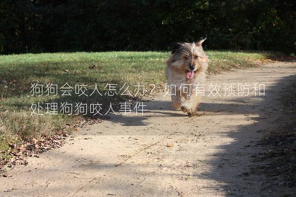 狗狗会咬人怎么办？如何有效预防和处理狗狗咬人事件