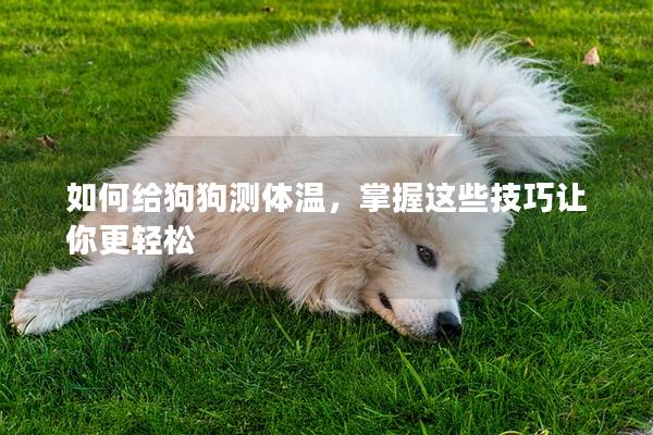 如何给狗狗测体温，掌握这些技巧让你更轻松