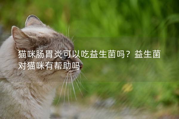 猫咪肠胃炎可以吃益生菌吗？益生菌对猫咪有帮助吗