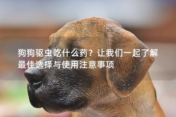 狗狗驱虫吃什么药？让我们一起了解最佳选择与使用注意事项
