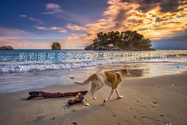 狗狗眼屎多怎么办？教你几招轻松应对