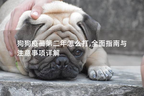 狗狗疫苗第二年怎么打,全面指南与注意事项详解