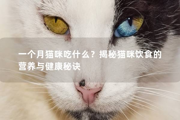 一个月猫咪吃什么？揭秘猫咪饮食的营养与健康秘诀