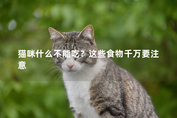 猫咪什么不能吃？这些食物千万要注意