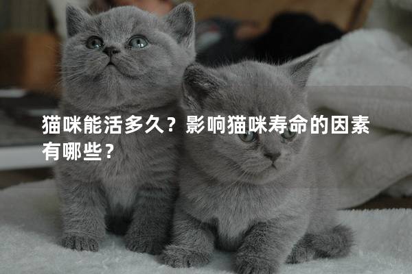 猫咪能活多久？影响猫咪寿命的因素有哪些？