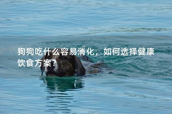 狗狗吃什么容易消化，如何选择健康饮食方案？