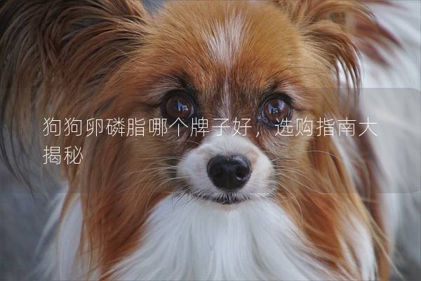 狗狗卵磷脂哪个牌子好，选购指南大揭秘