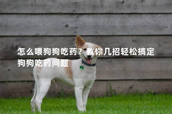 怎么喂狗狗吃药？教你几招轻松搞定狗狗吃药问题