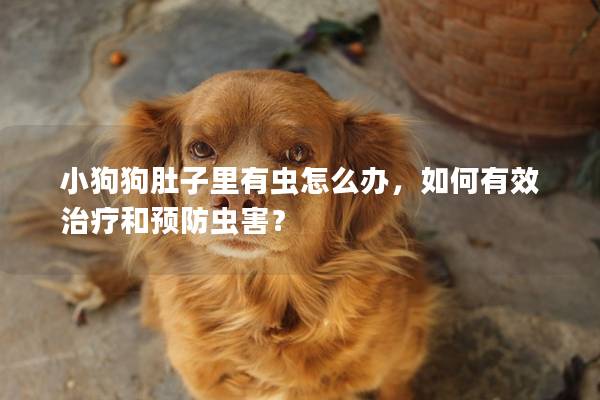 小狗狗肚子里有虫怎么办，如何有效治疗和预防虫害？