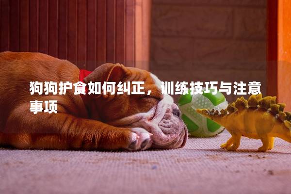 狗狗护食如何纠正，训练技巧与注意事项