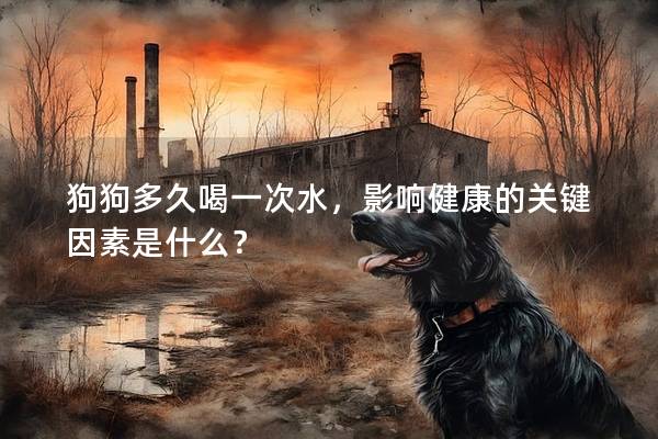 狗狗多久喝一次水，影响健康的关键因素是什么？