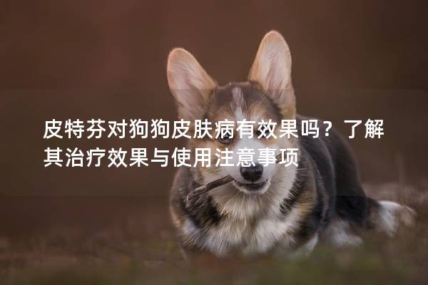 皮特芬对狗狗皮肤病有效果吗？了解其治疗效果与使用注意事项