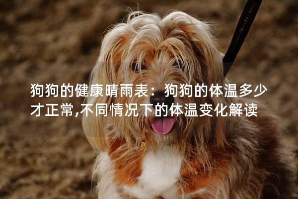狗狗的健康晴雨表：狗狗的体温多少才正常,不同情况下的体温变化解读