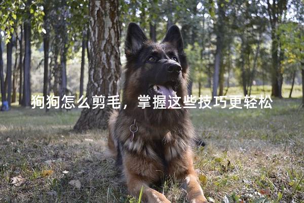 狗狗怎么剪毛，掌握这些技巧更轻松