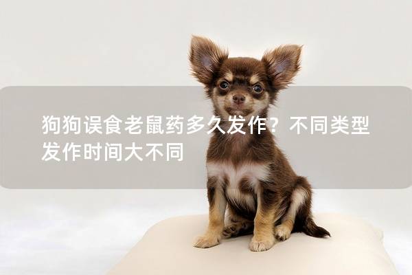 狗狗误食老鼠药多久发作？不同类型发作时间大不同