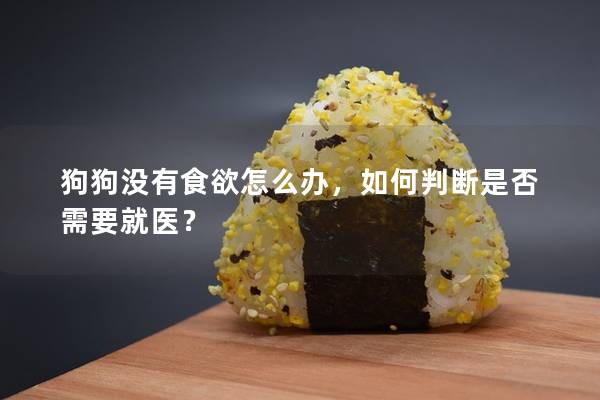 狗狗没有食欲怎么办，如何判断是否需要就医？
