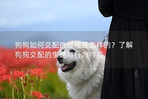 狗狗如何交配的过程是怎样的？了解狗狗交配的生理与行为特点